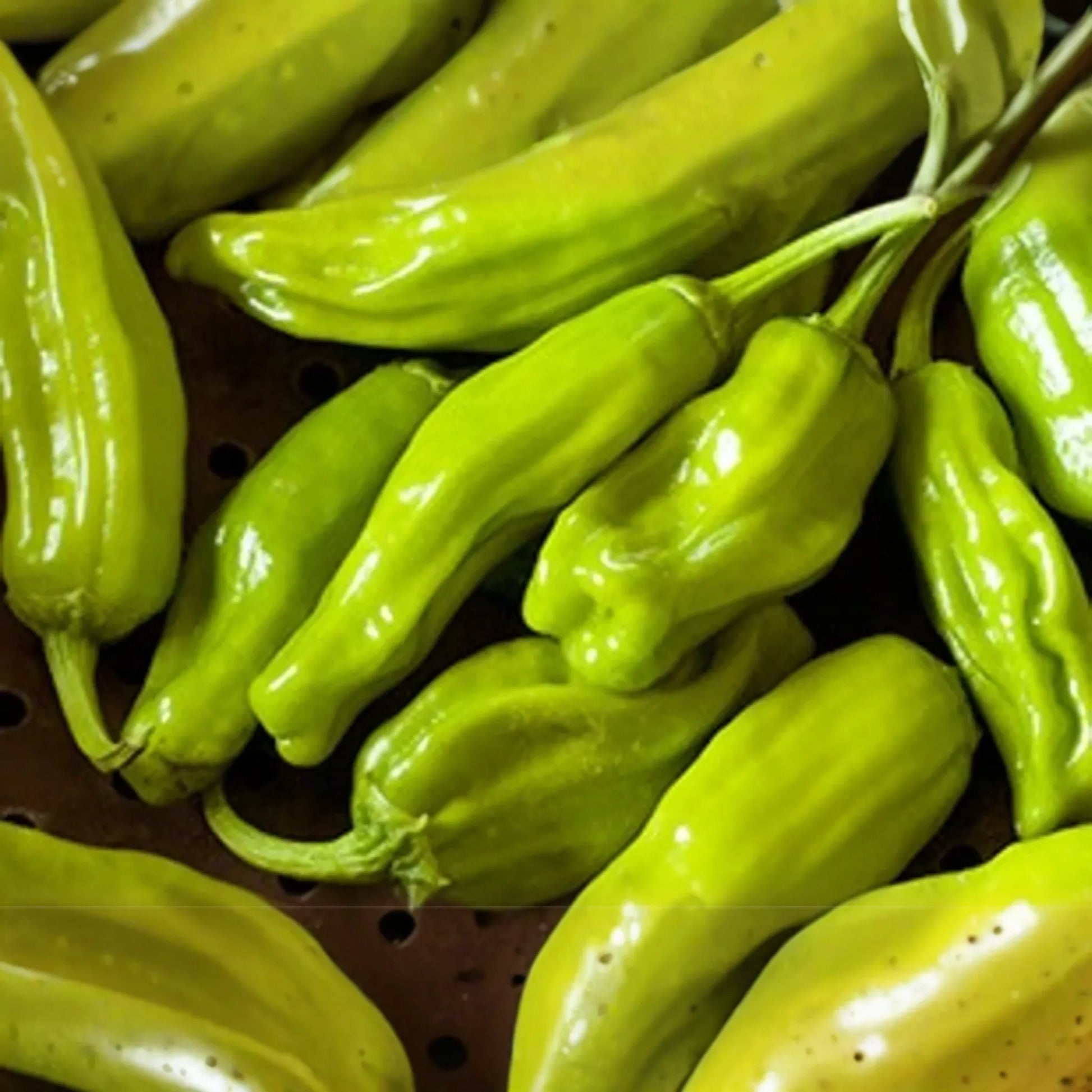 250mg Pepperoncini Italian Sweet Pepper Seeds Capsicum annuum | Non-GMO, Mild Flavor, High Yield, Perfect for Pickling, Easy to Grow