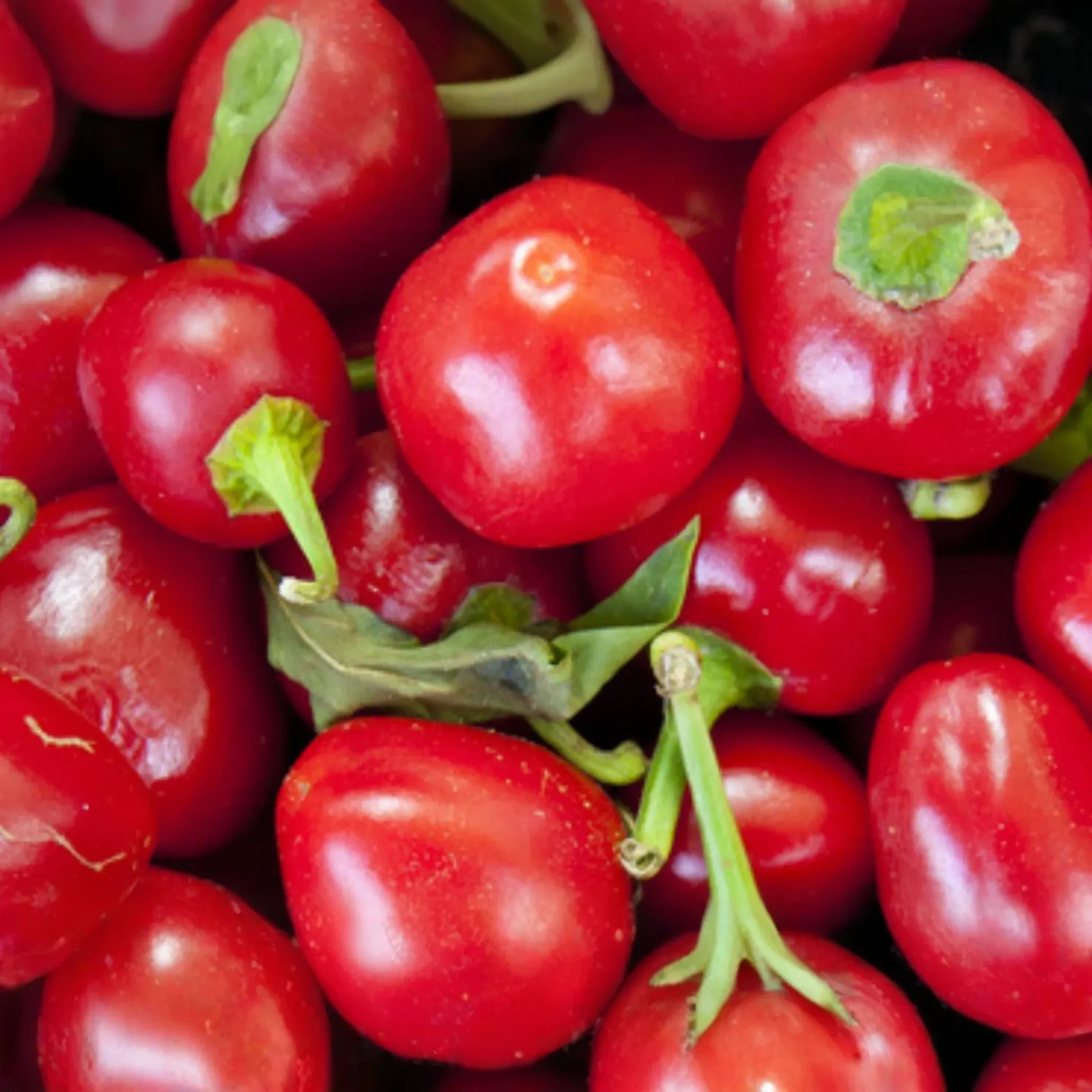 250mg Red Cherry Sweet Pepper Seeds Capsicum annuum | Heirloom, Sweet Flavor, Non-GMO, Easy to Grow, High Yield, Perfect for Pickling