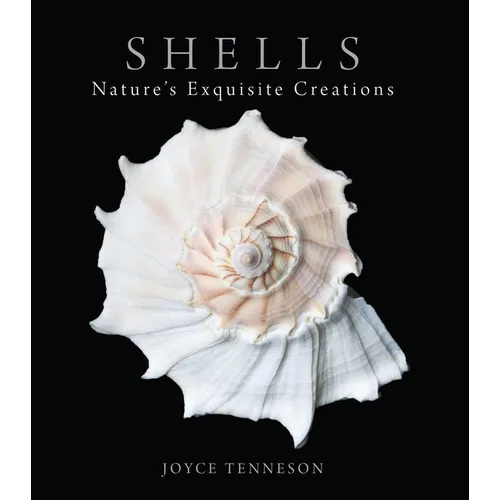 Shells: Nature's Exquisite Creations