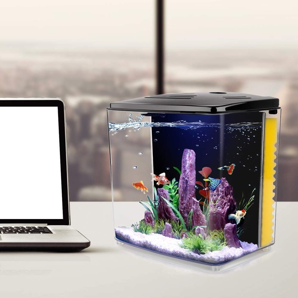 1.2 Gallon Betta Aquarium with LED Light and Filter Pump