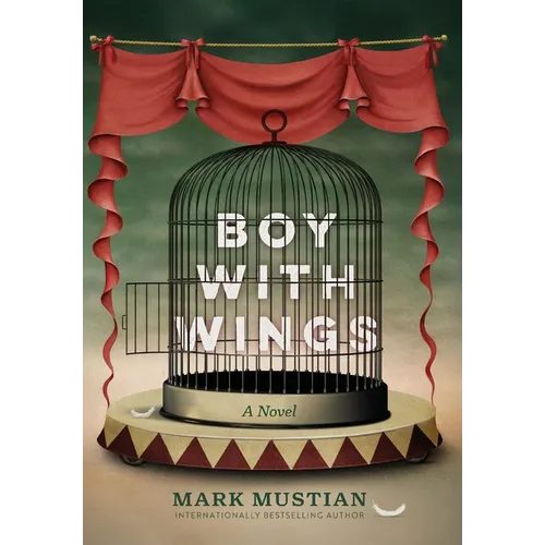 Boy With Wings
