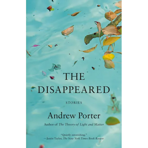 The Disappeared: Stories