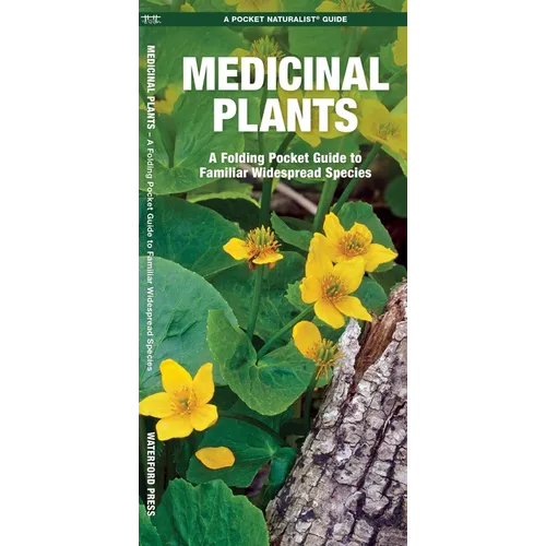 Medicinal Plants: An Introduction to Familiar North American Species