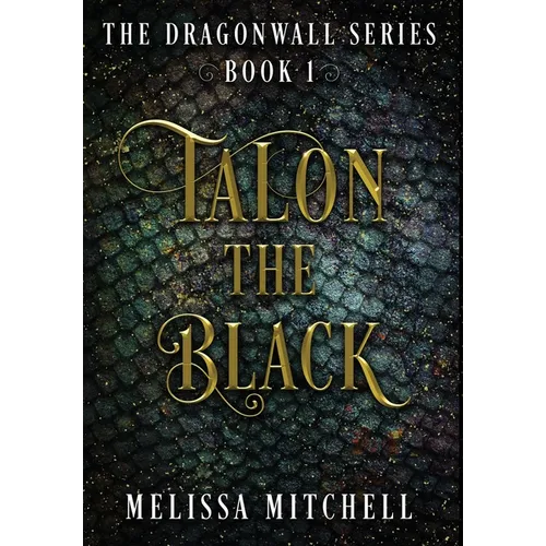 Talon the Black: A Slow Burn Fantasy Series