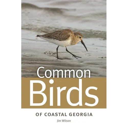 Common Birds of Coastal Georgia