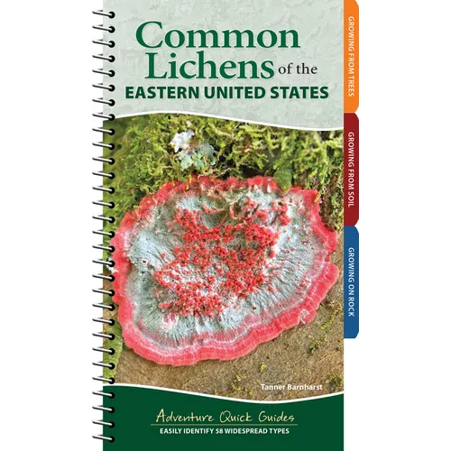 Common Lichens of the Eastern United States: Easily Identify 58 Widespread Types