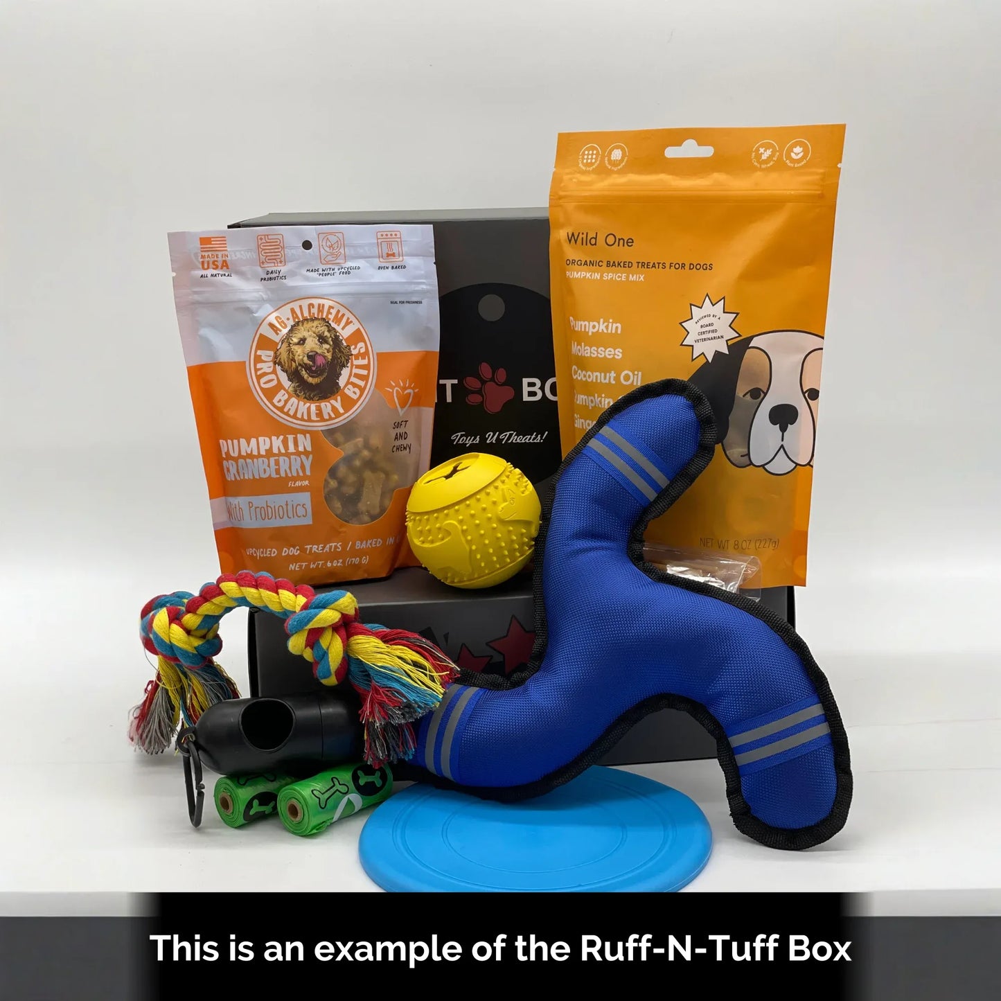 Toys N Treats Gift Boxes