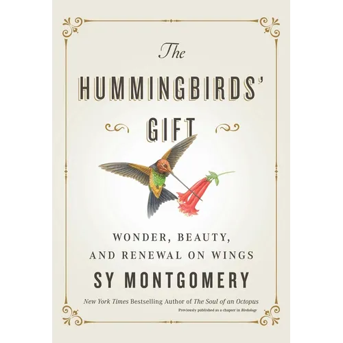The Hummingbirds' Gift: Wonder, Beauty, and Renewal on Wings