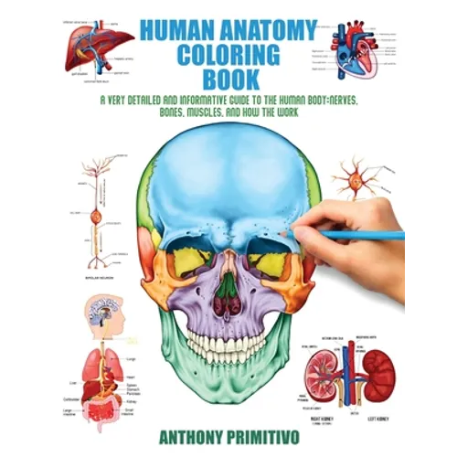 Human Anatomy Coloring Book: A Very Detailed and Informative Guide to the Human Body: Nerves, Bones, Muscles, and How to the Work