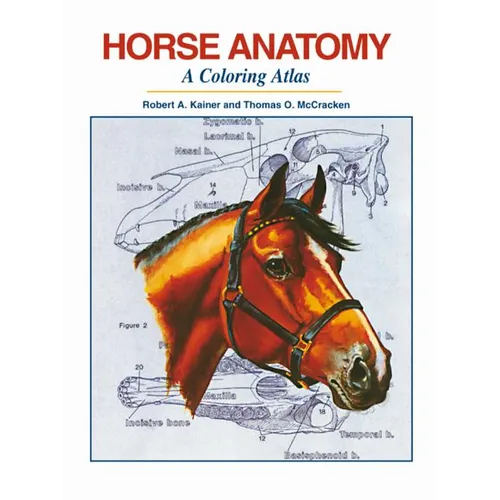 Horse Anatomy: A Coloring Atlas