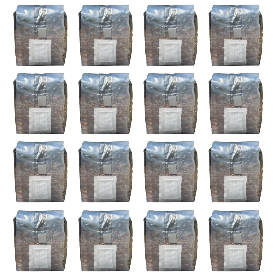 All In One Mushroom Grow Bag Bundle 16 Count