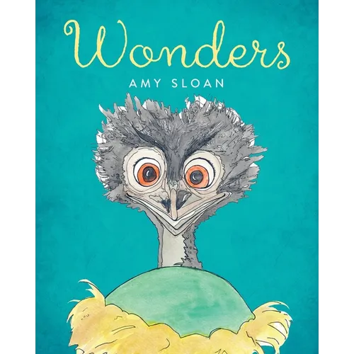 Wonders