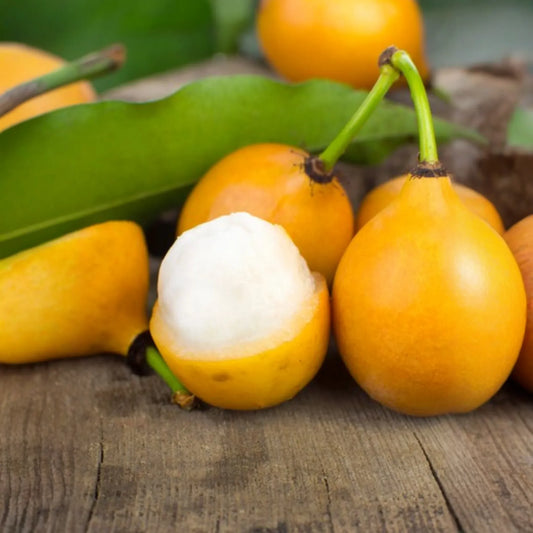 Achacha, Achachairú (Garcinia humilis)