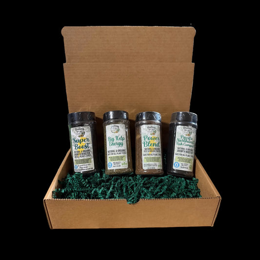 Plant Care Gift Set – 4 Essential Care Items for Plant Lovers – Perfect for Houseplants, Gardeners, & Green Thumbs