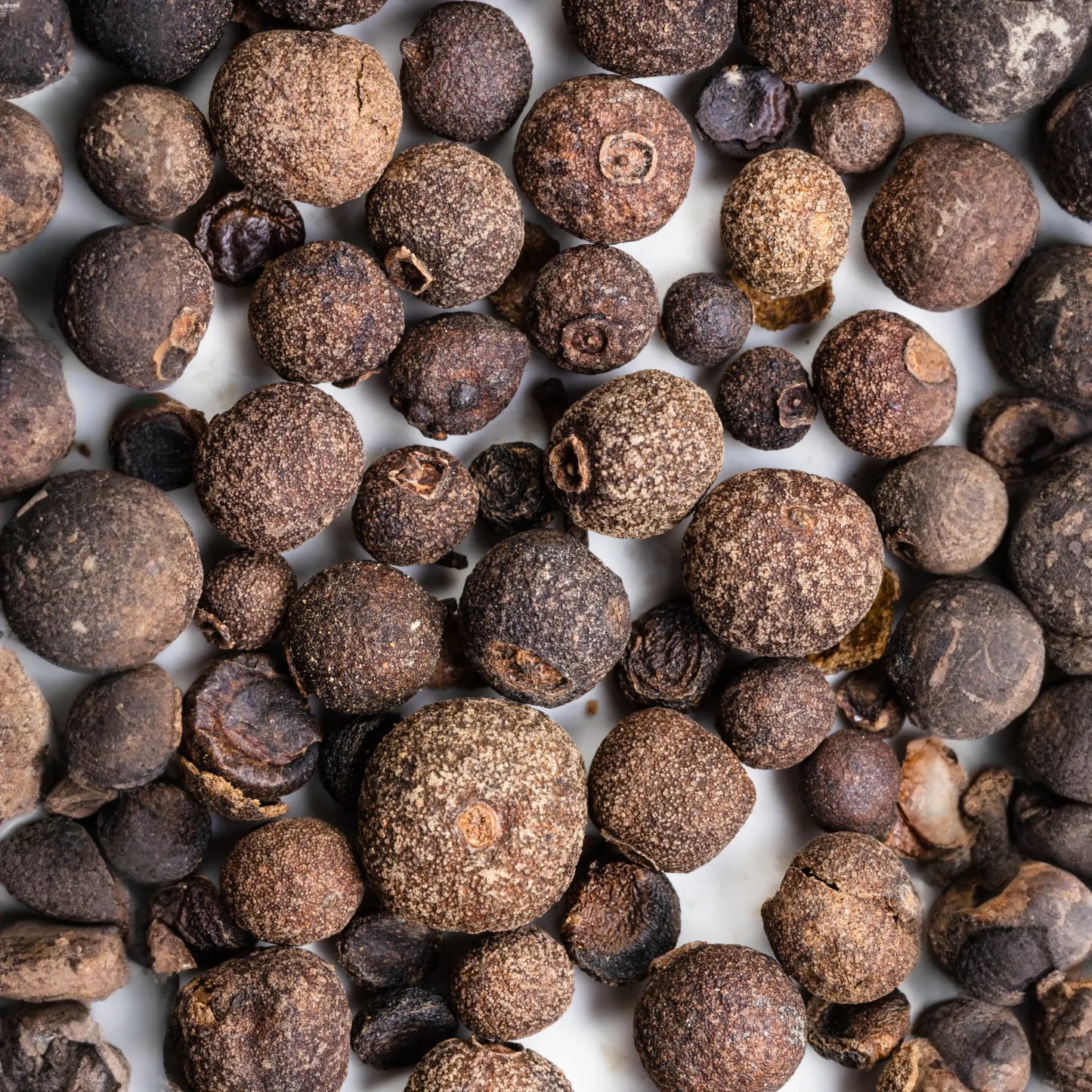 Allspice (Pimenta dioica)