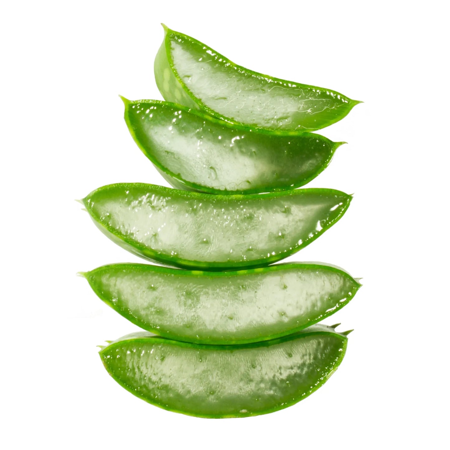 Aloe (Aloe vera)