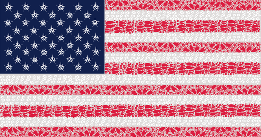 American Flag 6 Pack Notes