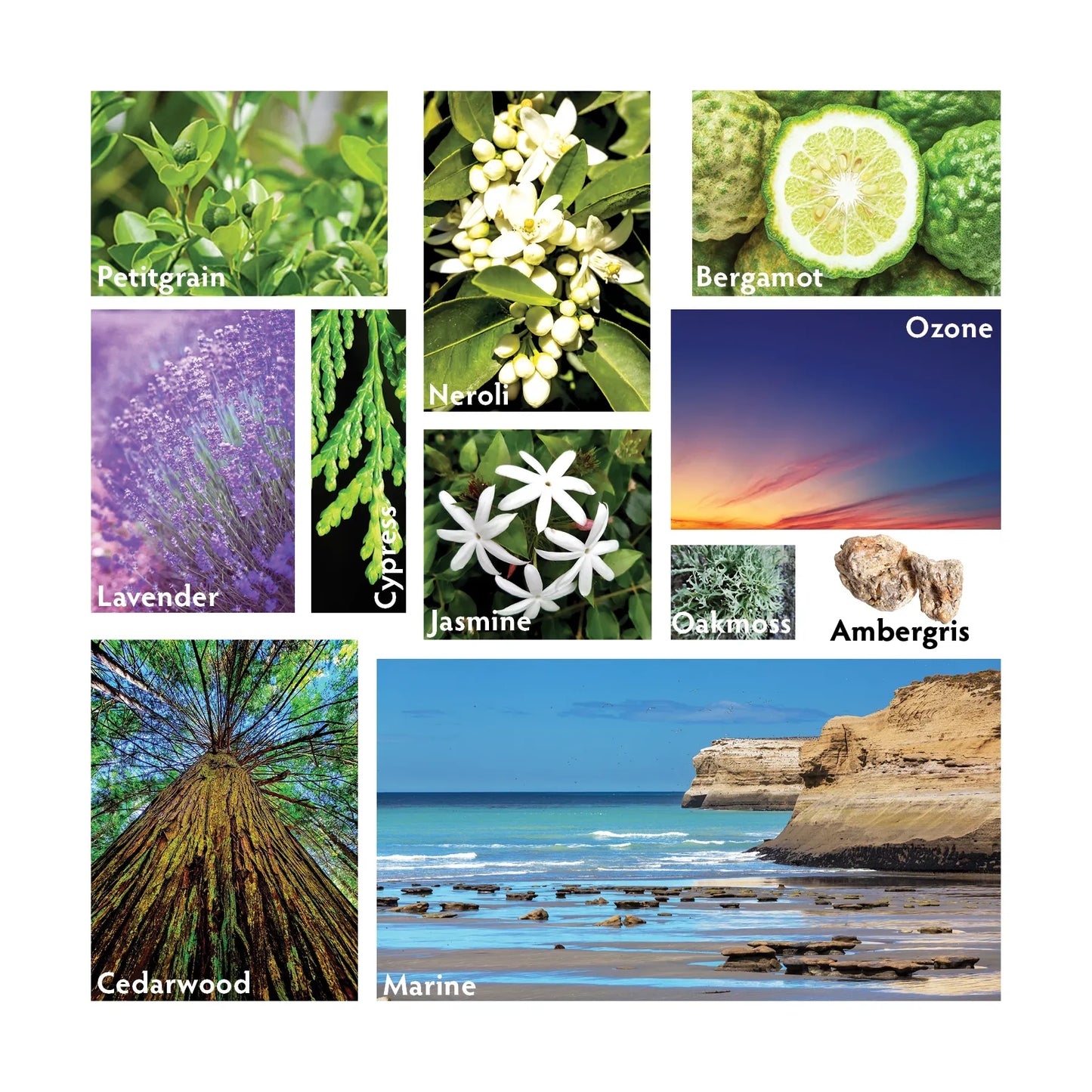 Atlántico Slim Crystal Diffuser