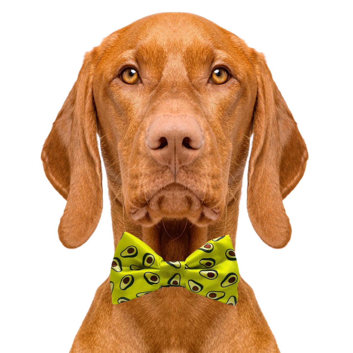 Avodoggo Green Avocado Dog Bow Tie