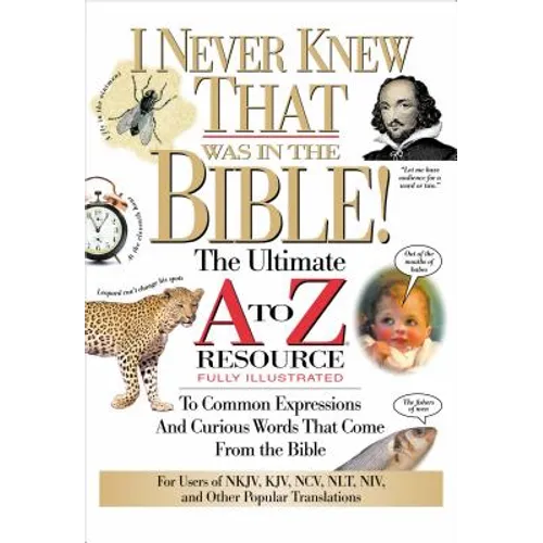 The I Never Knew That Was in the Bible: The Ultimate A to Z(r) Resource Series