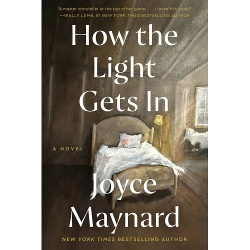 How the Light Gets in