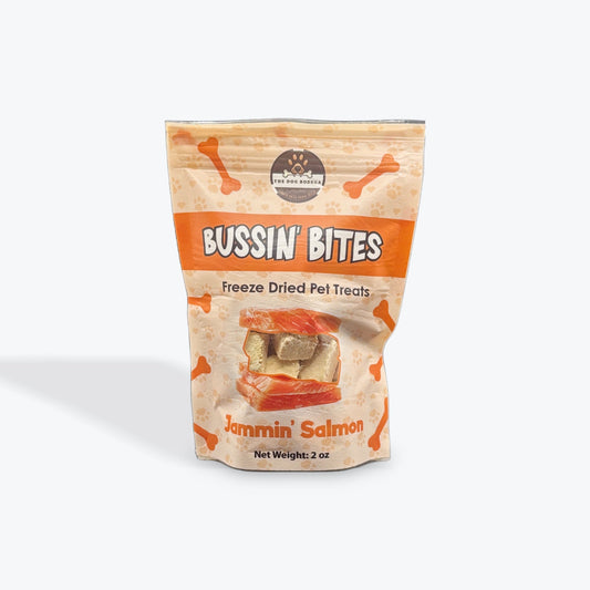 Freeze Dried Dog & Cat Treats – Single Ingredient, High Protein, Grain Free | Natural Cat & Dog Training Snacks, Human-Grade Salmon
