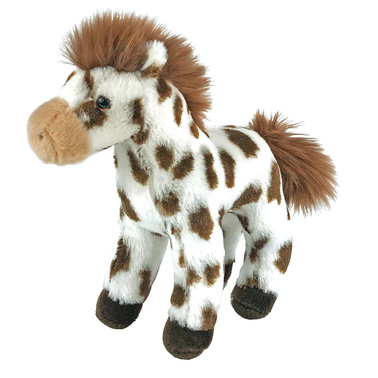 Bud Bud Appaloosa Horse