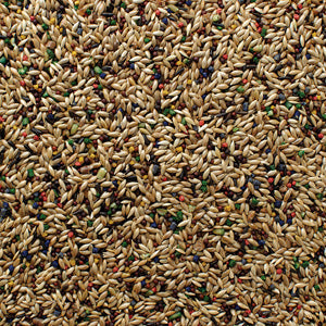 Grains-Plus Canary Blend - 25 lb