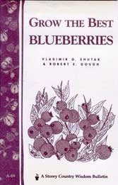 Grow the Best Blueberries