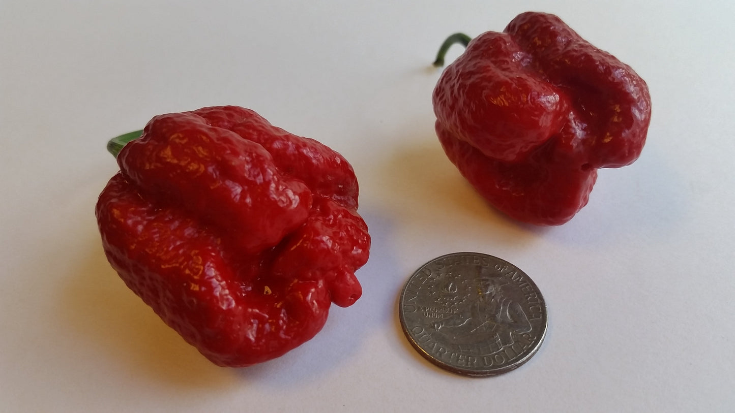 BTR Butch T Reaper Scorpion - Seeds