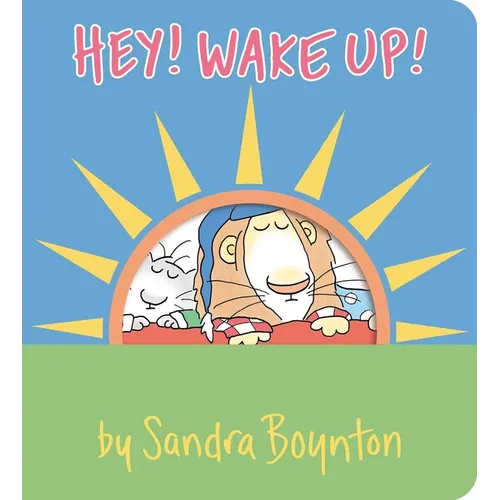 Hey! Wake Up!