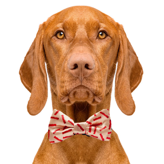 Bacon Dog Bow Tie