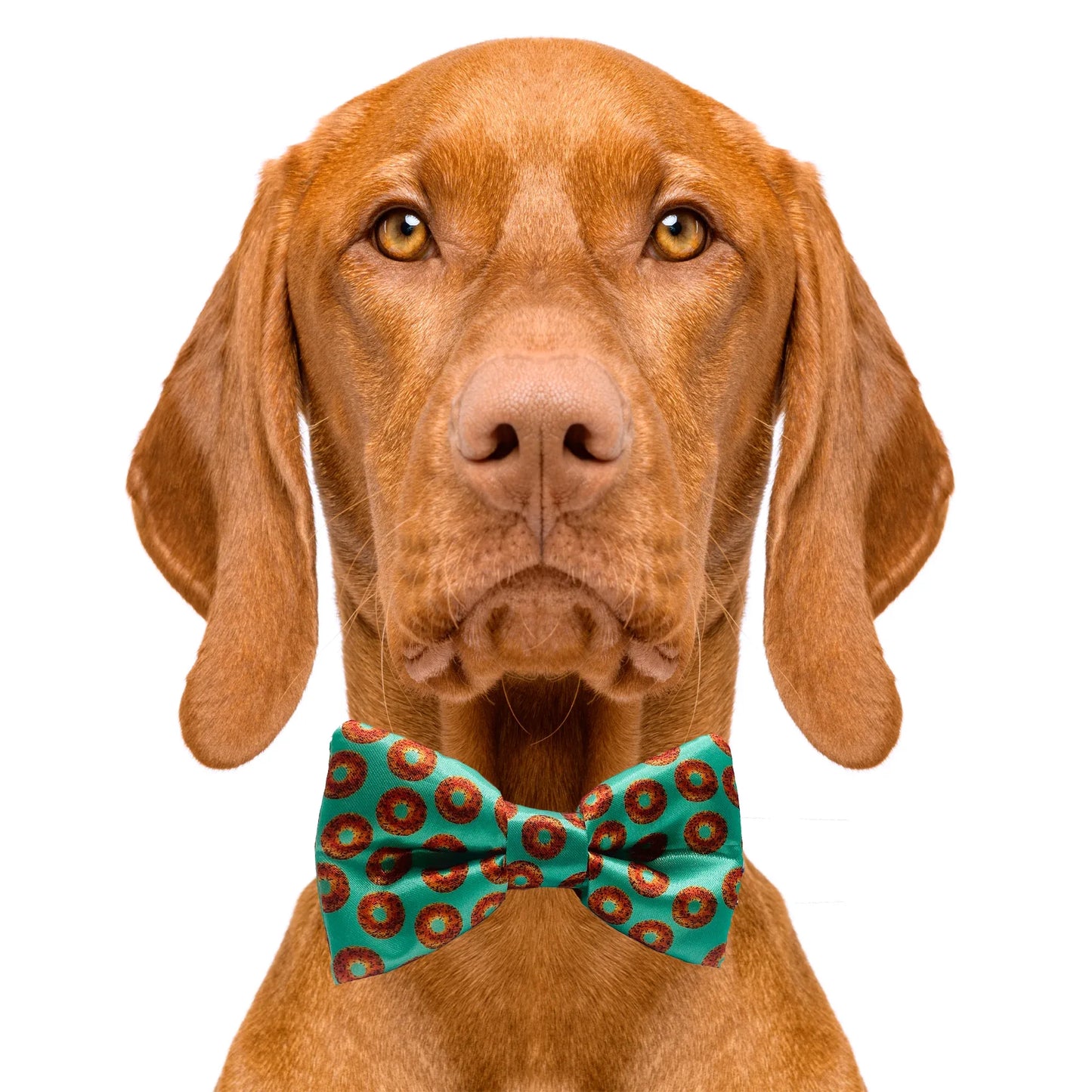 Bagel Dog Bow Tie