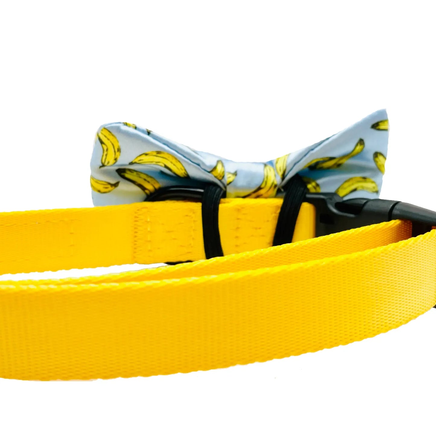 Banana Light Blue Dog Bow Tie