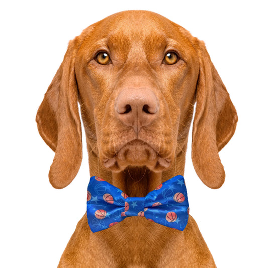 Basketball Sports Blue Dog Bow Tie