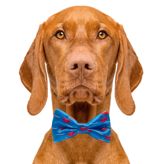Beer Pong Blue Dog Bow Tie