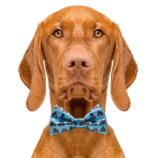 Blue Poo Dog Bow Tie