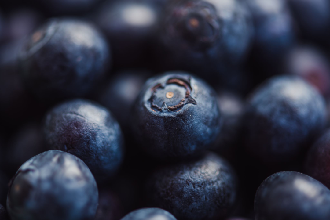 Blueberry Flavored Yak Cheese Chew - Made with REAL BLUEBERRY Puree Single