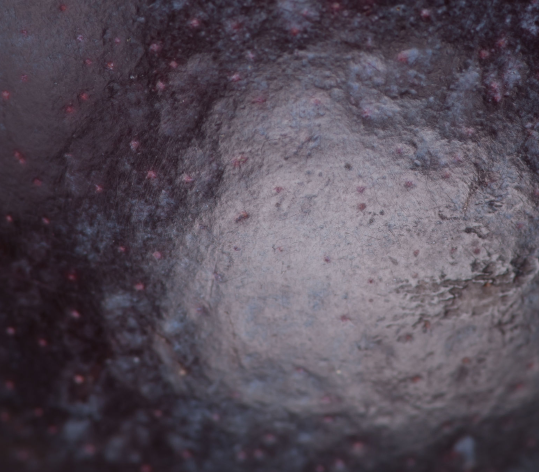 Blueberry Flavored Yak Cheese Chew - Made with REAL BLUEBERRY Puree Single