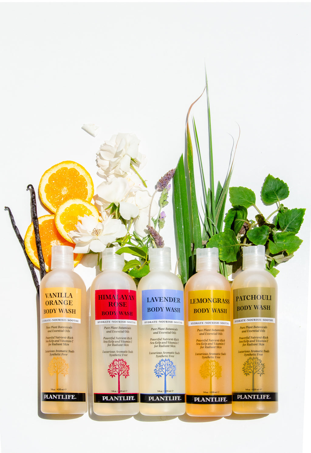 Vanilla Orange Body Wash