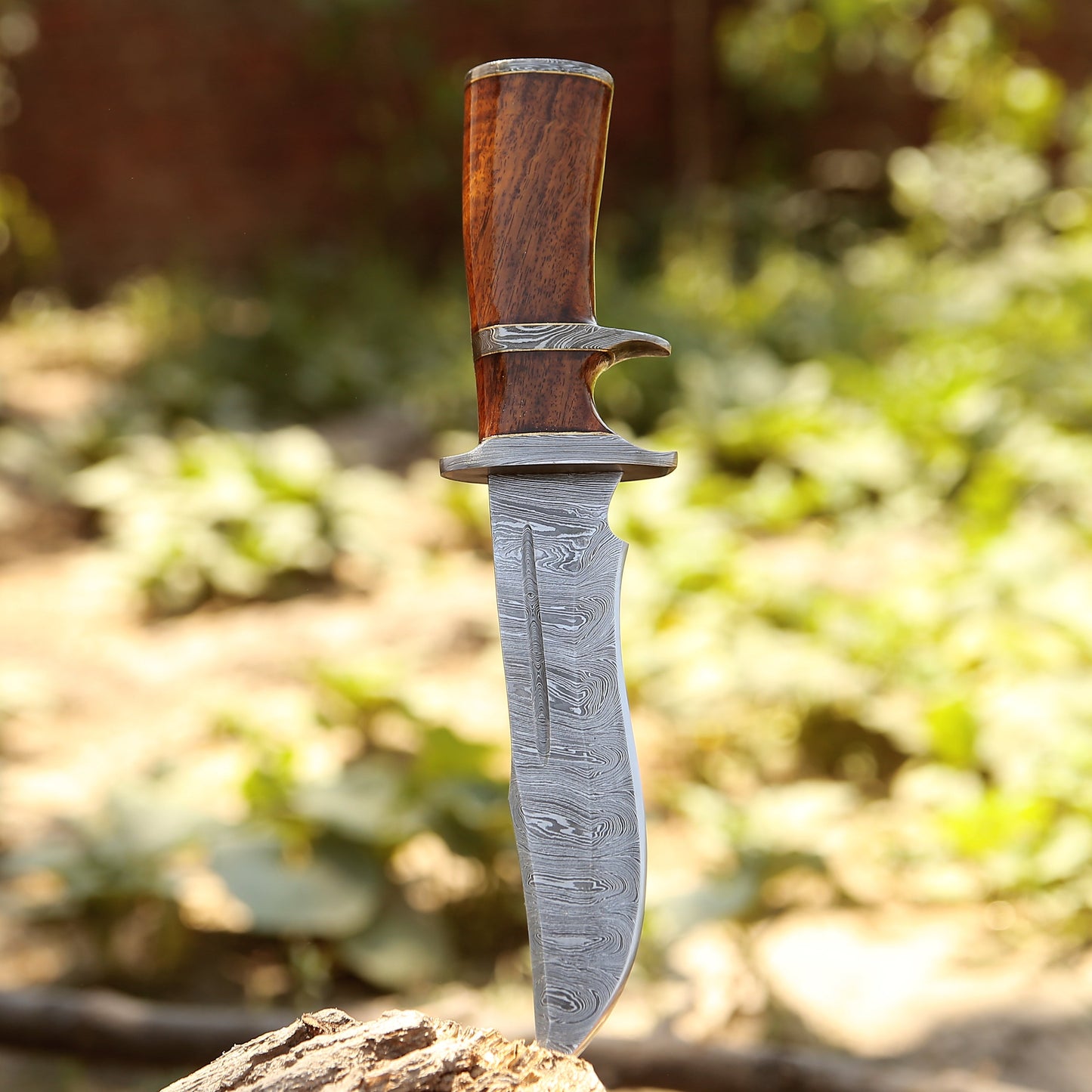 Raider Damascus Steel Bowie Knife with Exotic Rose Wood Handle & Sheath