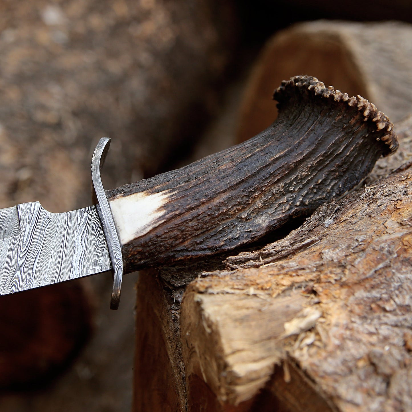 Wildfire Damascus Bowie Knife with Stag Horn Handle