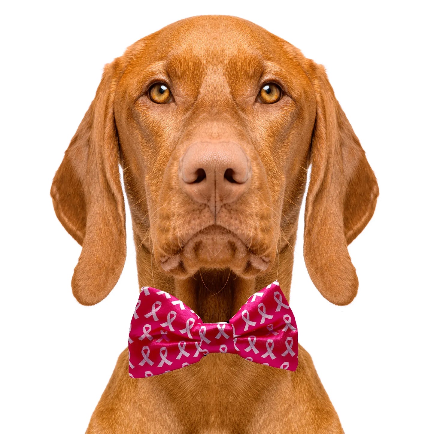 Breast Cancer Awareness Pink Dog Bow Tie
