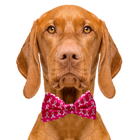 Breast Cancer Awareness Pink Dog Bow Tie