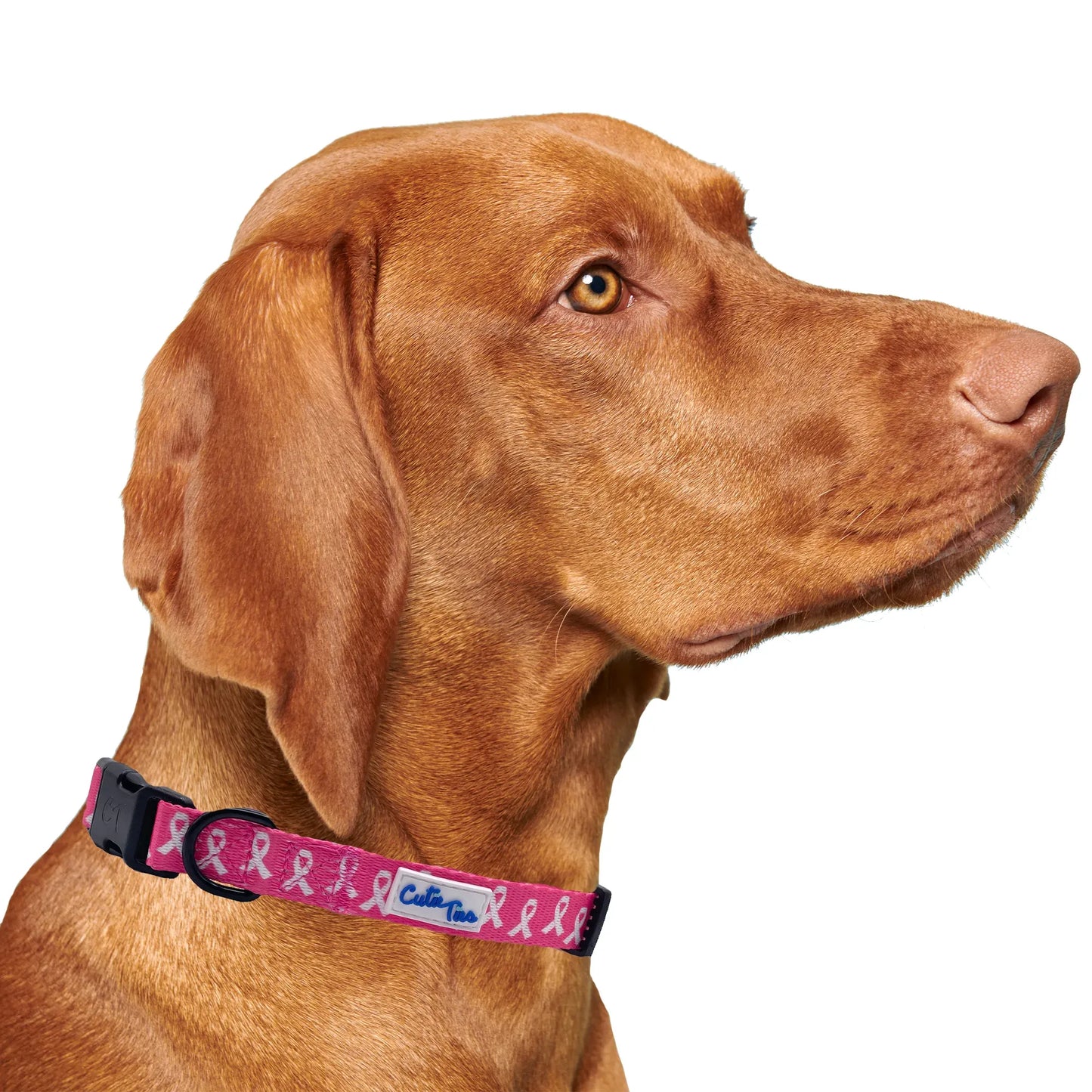 Breast Cancer Awareness Pink Dog Collar