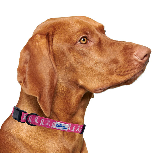 Breast Cancer Awareness Pink Dog Collar