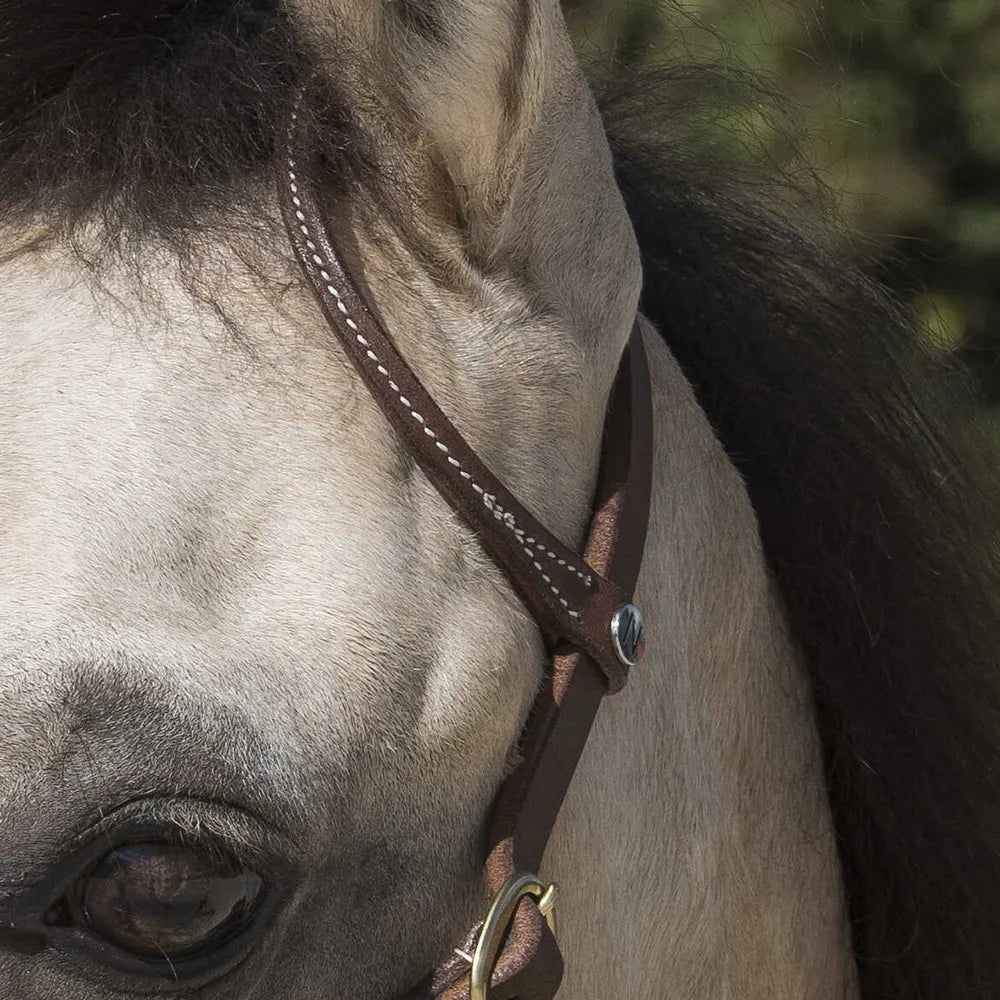 WESTRIDE – Bridle by Franck Perret – 1 Ear