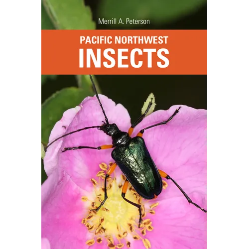 Pacific Northwest Insects