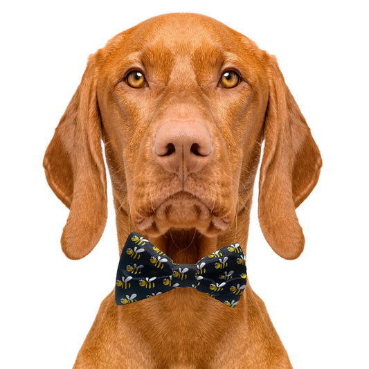 Bumblebee Black Dog Bow Tie