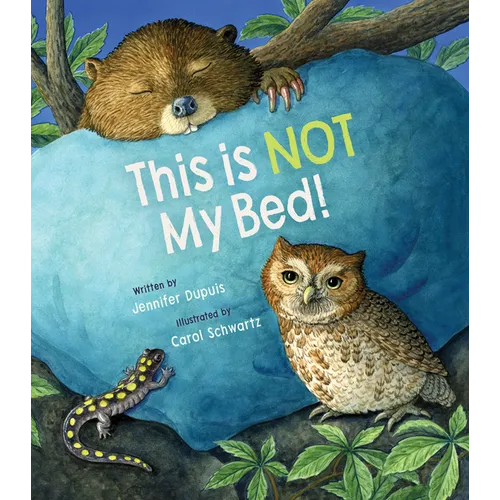 This Is Not My Bed!